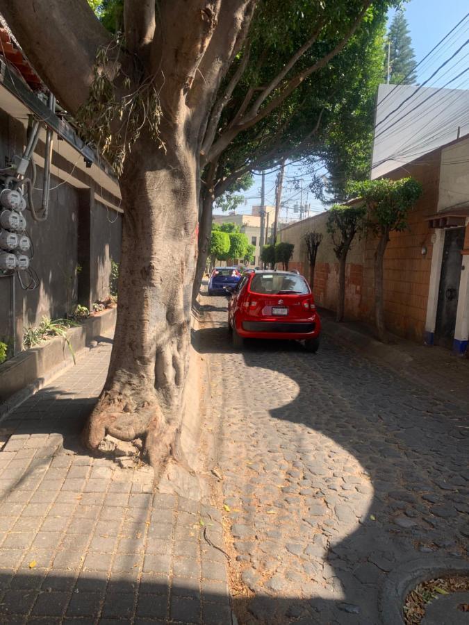 Coyoacan Magico Meksika Dış mekan fotoğraf